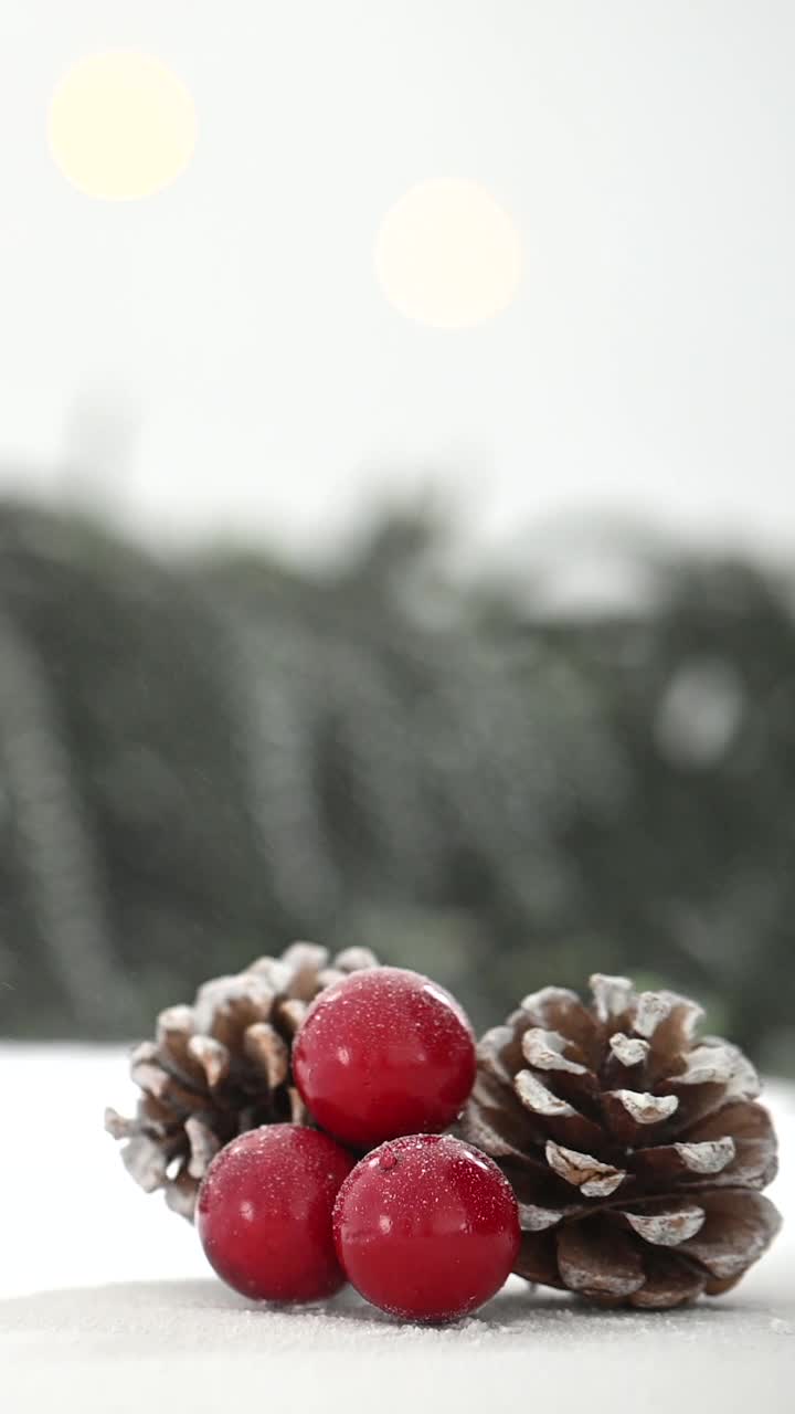 松果和冬青浆果背景上的雪