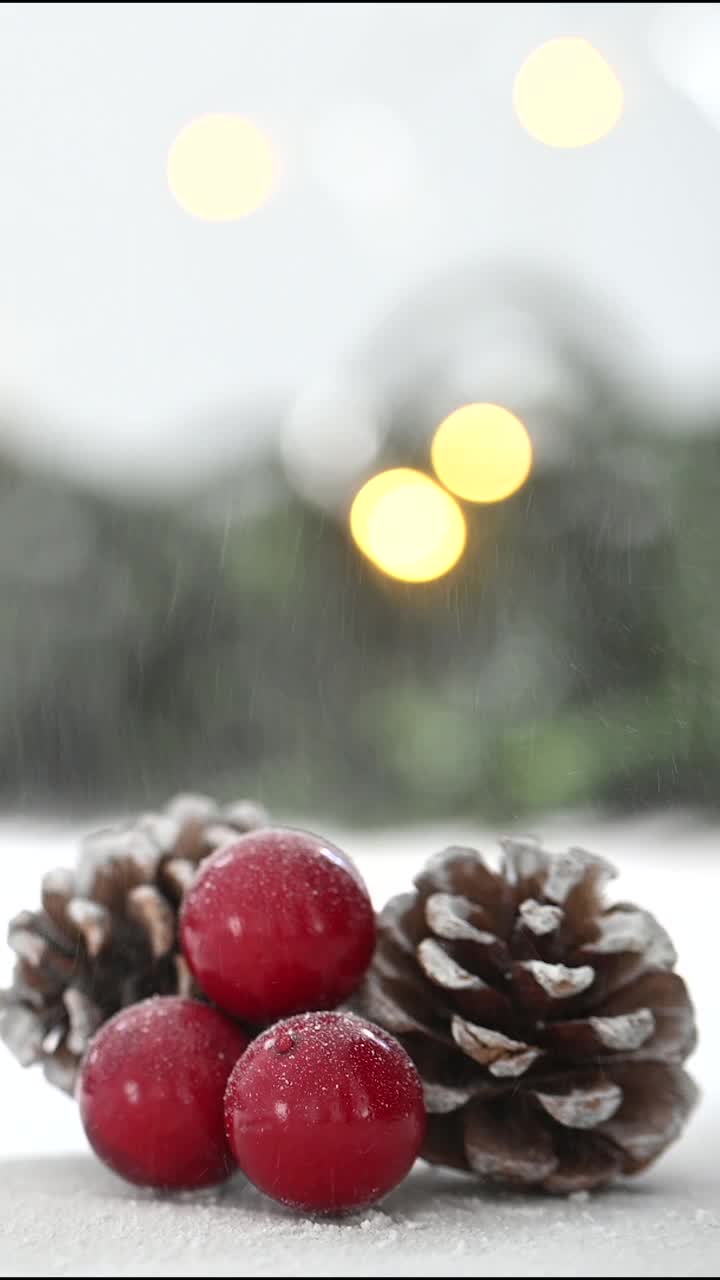 雪花落在松果和冬青圣诞背景