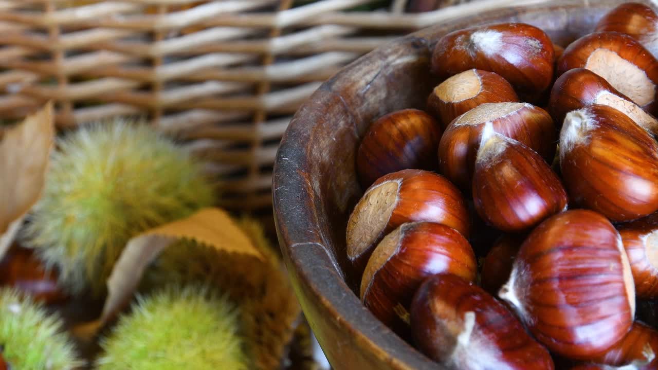 这是一个木碗里新鲜采摘的栗子的特写，背景是模糊的绿色刺猬。十月，栗子收获的季节。典型的秋季新鲜水果。