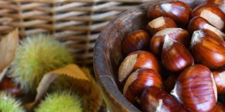 这是一个木碗里新鲜采摘的栗子的特写，背景是模糊的绿色刺猬。十月，栗子收获的季节。典型的秋季新鲜水果。