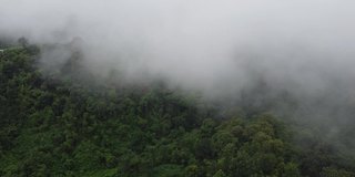 浮动道路没有。1081年越过山顶