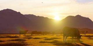日落时分，在雾蒙蒙的山区放牧的牛群