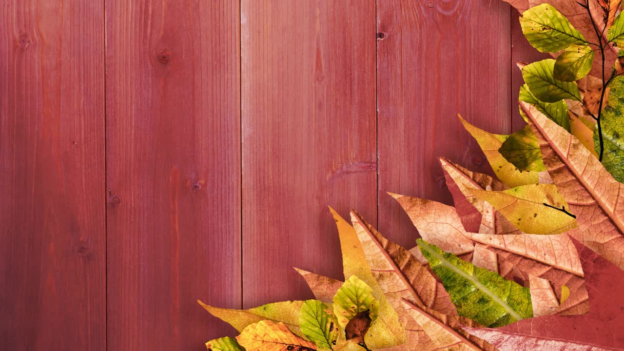 快乐的感恩节文字越过秋天的枫叶与秋天的树叶在木制的背景