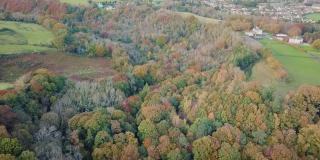 秋天，空中飞盘飞过倒陷的树林，来到恩尼斯克里村