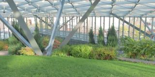 现代温室种植树木花卉玻璃屋顶阳光