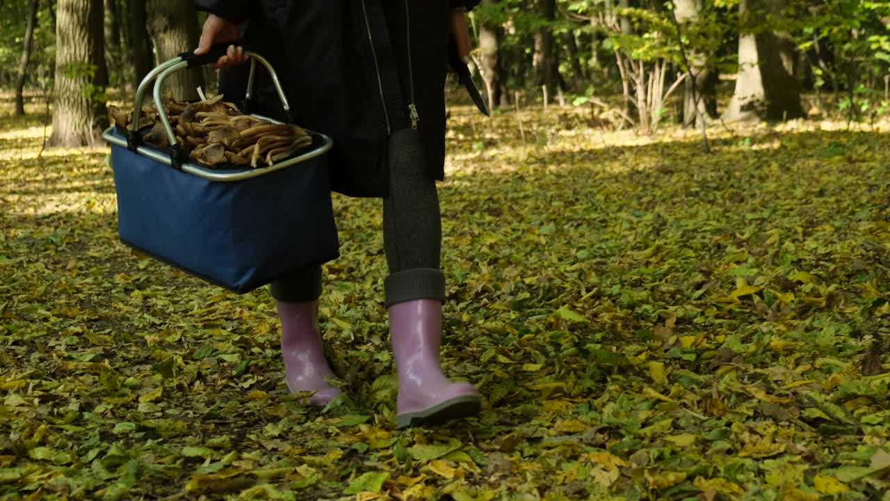 女孩带着一篮子蘑菇特写腿在橡胶靴