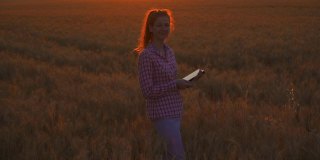 一位妇女用小米片拍照。寄给制造商。农学家农民在田间检查小麦的质量。收割谷物。检查大豆作物的生长情况。
