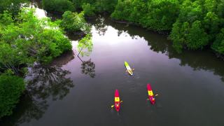 日落场景鸟瞰组游客旅行者或研究人员划桨划艇在淡水河湖发现和探索植物园热带地区的自然，攀牙省，泰国视频素材模板下载