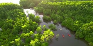 日落场景鸟瞰组游客旅行者或研究人员划桨划艇在淡水河湖发现和探索植物园热带地区的自然，攀牙省，泰国