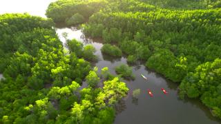 日落场景鸟瞰组游客旅行者或研究人员划桨划艇在淡水河湖发现和探索植物园热带地区的自然，攀牙省，泰国视频素材模板下载