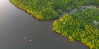 日落场景鸟瞰组游客旅行者或研究人员划桨划艇在淡水河湖发现和探索植物园热带地区的自然，攀牙省，泰国