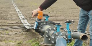 滴灌系统。节水滴灌系统在胡萝卜幼嫩田的应用。工人打开水龙头。