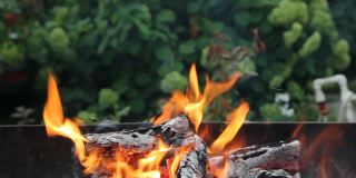 以郊区为背景，在大自然中烧柴烧烤。火中的余烬。在篝火里烧煤。