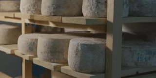木架子上放着许多又圆又硬、发霉的瑞士奶酪头