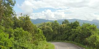 鸟瞰图的乡村道路通过绿色的森林和山