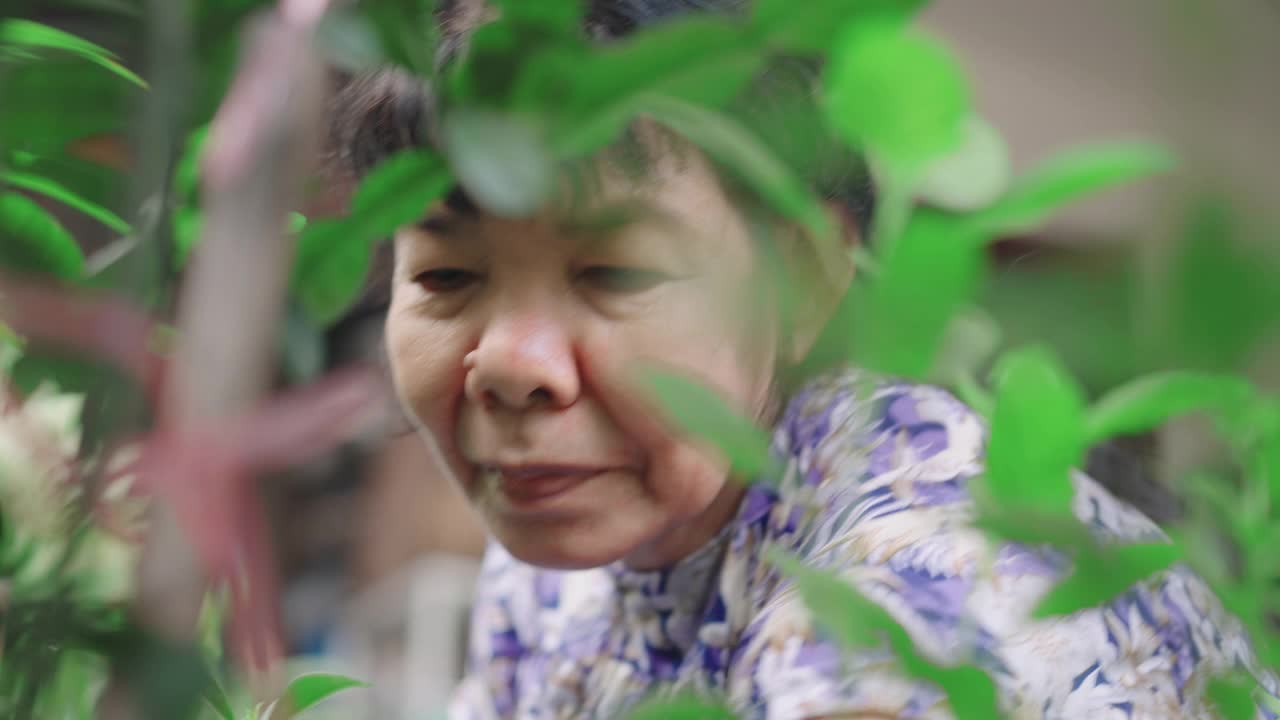 退休的老年妇女在自家门前照料菜园，除草、铲土，积极的老年生活理念，低角度的正面和坦率的视角