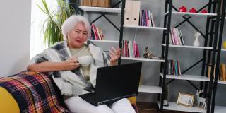 资深女性坐在家里的沙发上用笔记本电脑聊天