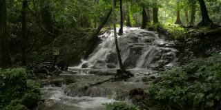 用镜头拍摄了热带雨林中美丽的小瀑布。清晨阳光下，热带瀑布般的水流穿过茂密的森林，从岩石上倾泻而下。