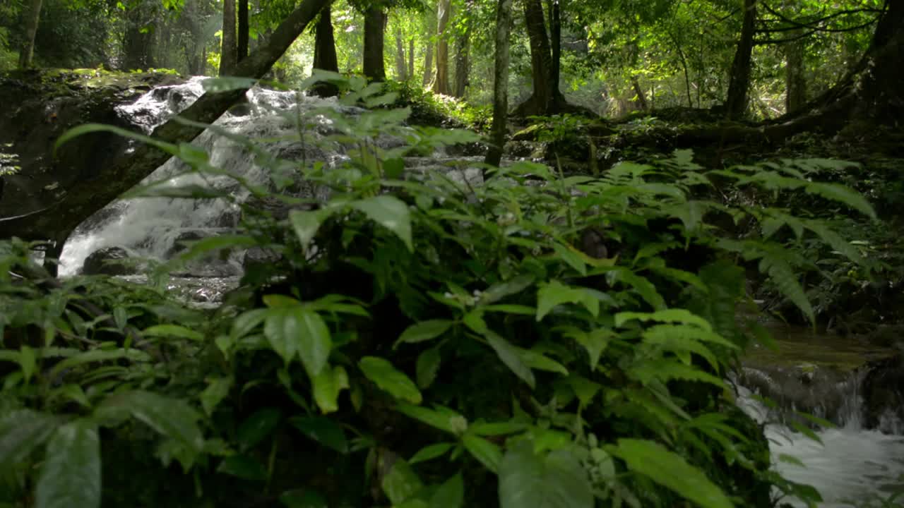 潘宁拍摄了瀑布的美丽风景，水从山上流过岩石，穿过茂密的树叶植物在雨林。大自然的新鲜和绿色。