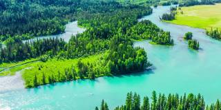 鸟瞰图的绿色森林和河流在喀纳斯，新疆，中国。