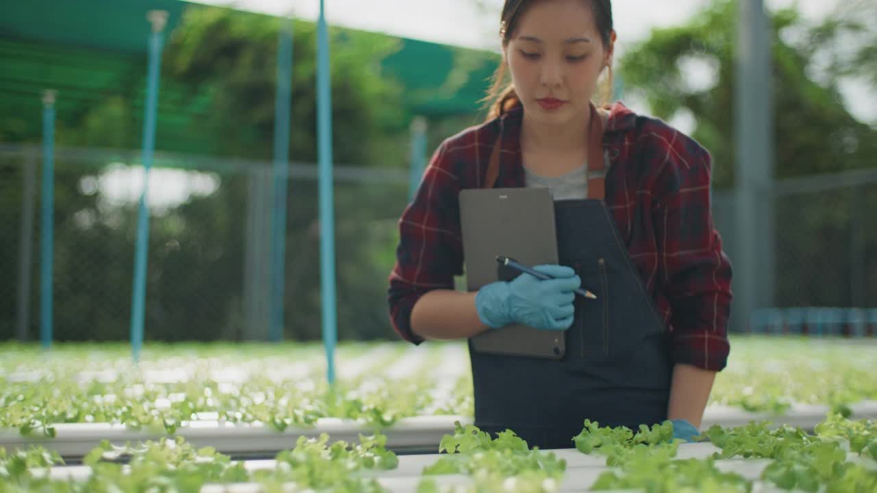 年轻妇女正在用数码平板电脑检查有机蔬菜