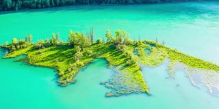 喀纳斯湖夏季鸟瞰图，新疆，中国。绿色森林和河流景观。