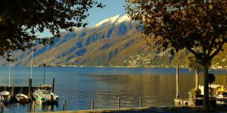 高山湖马焦雷雪山在阳光明媚的秋天与树在海滨在阿斯科纳