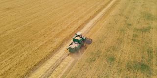 联合收割机收割小麦。在干燥的大田里收割大麦