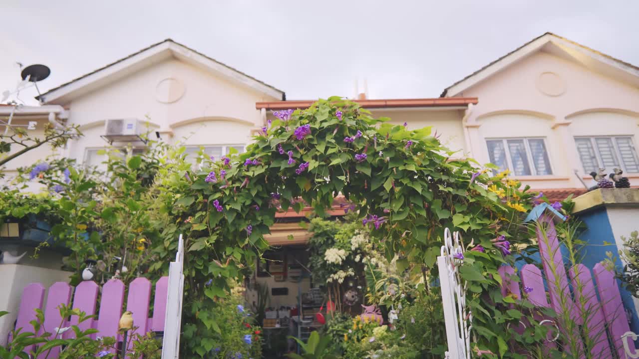 POV走在装有盆栽和鲜花的房子的前院