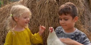 农夫小男孩和小女孩正坐在干草堆上抚摸着一只白鸡