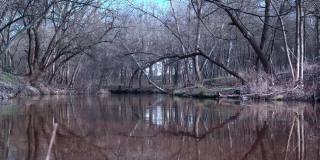 一条平静的森林河流。阴沉沉的秋日里，一条安静的小河。平静的自然背景。