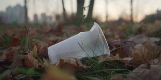 塑料空杯子躺在秋天树叶覆盖的草地上