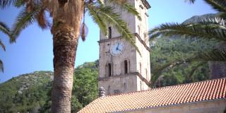 棕榈树映衬在圣尼古拉斯教堂钟楼的背景上。Perast、黑山