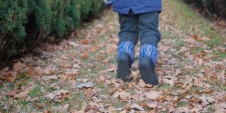 一个4岁的孩子在秋天的树叶和瀑布中奔跑。