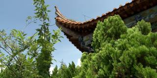 抚仙湖佛教与中国文化的宗教中心建设。