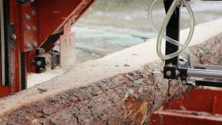 在木材生产工厂的锯床上切割松树原木的特写。在锯木厂加工和切割木材。木材厂的生产工艺。在动力机上锯木头视频素材模板下载