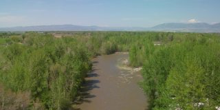 加拉廷河蜿蜒穿过棉白杨河岸，在早春向北流向蒙大拿州的博兹曼