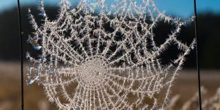 蜘蛛网上融化的冰晶时间流逝