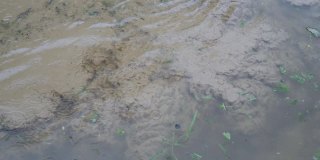 在阴天下雨的时候，淤泥、泥沙和沙子从底部漂浮在水面上沸腾的水面的顶部视图。坏天气。环境污染。特写镜头。4 k。
