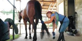 马保健。梳理马尾巴。一个女人正在为马梳洗，梳理马尾巴，用刷子，在一个农场，在白天。照顾宠物。爱马