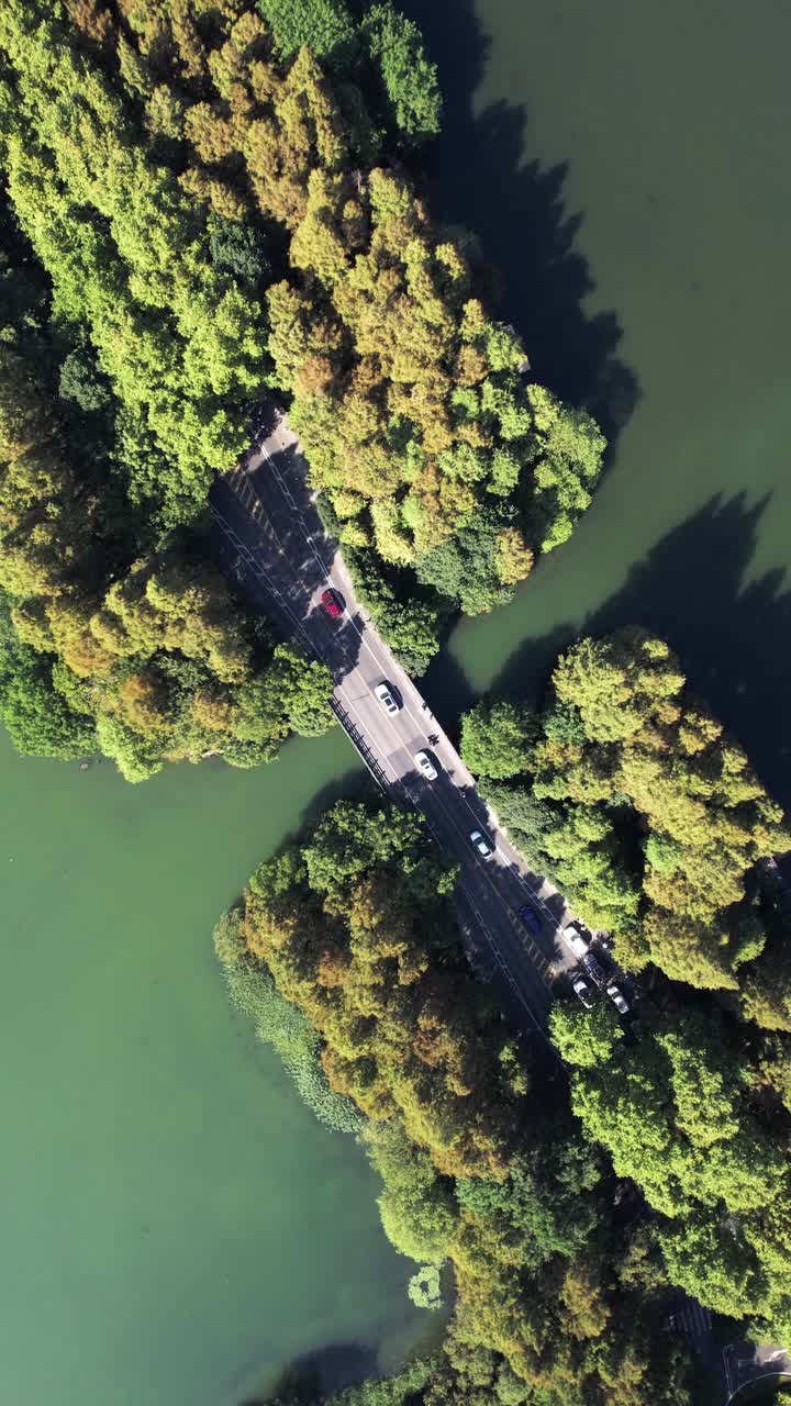 鸟瞰图的道路通过湖泊和树木区域