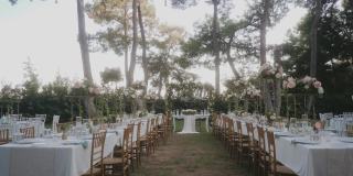 令人惊叹的婚礼布置在花园，白色桌布和木制椅子的桌子。美丽的节日气氛。花园里到处都是粉红色和白色的玫瑰。