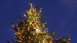 在夜空的背景下，装饰着花环的圣诞树的顶部。这座城市为圣诞节假期而装饰一新视频素材模板下载