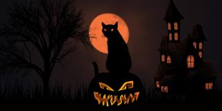 黑猫眨着眼睛，坐在老房子上的万圣节南瓜灯上，蝙蝠在夜空中飞翔。令人毛骨悚然的万圣节装饰