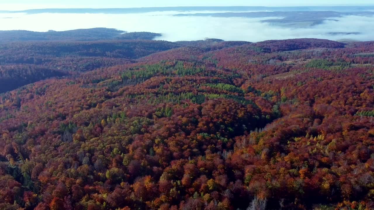 在一个阳光明媚的秋日，鸟瞰山地景观和混交林