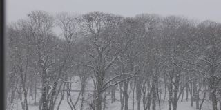 气象学，降水类型。表的雪。在初冬和早春，大雪(雪阵雨)，夹杂着雪和雨(雨夹雪、小雪)