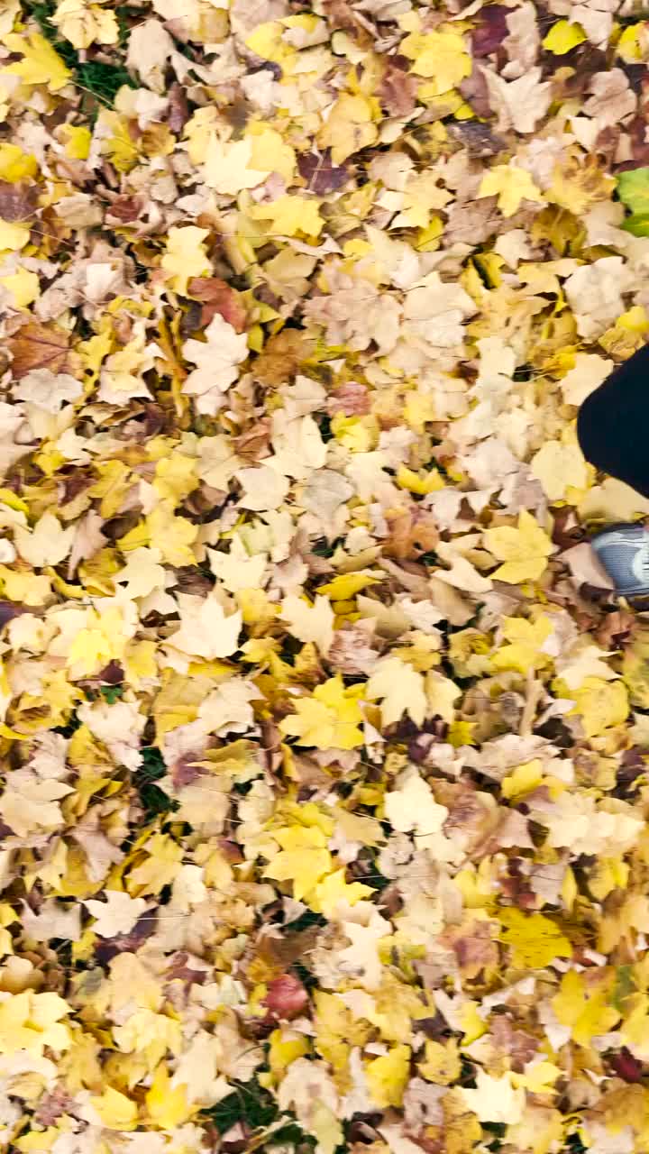 漫步在秋天