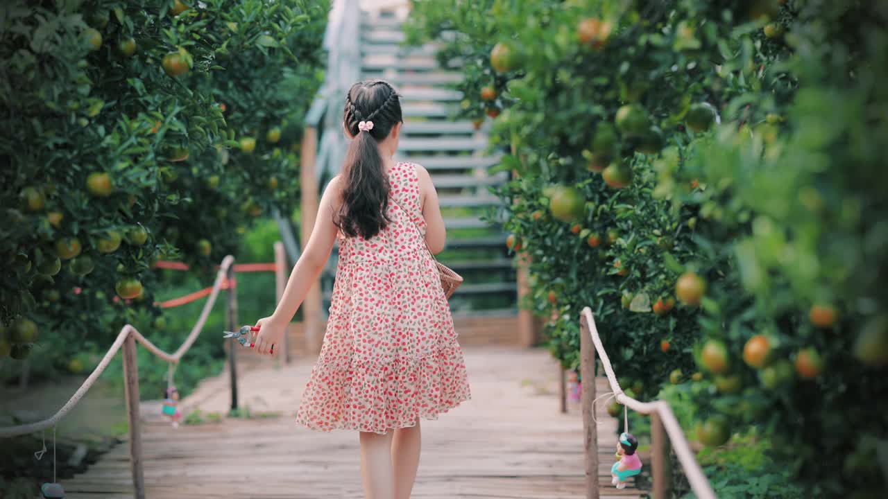 快乐的女孩拿着棒棒糖在橘子林散步