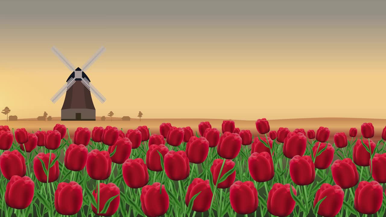 视频插图的太阳的轨道和传统的荷兰风车和荷兰的一排红色郁金香在晚上的背景