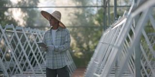 一位亚洲华人老人在温室垂直农场有机农场使用数码平板电脑